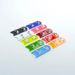 Card Stands Multicolor Pack
