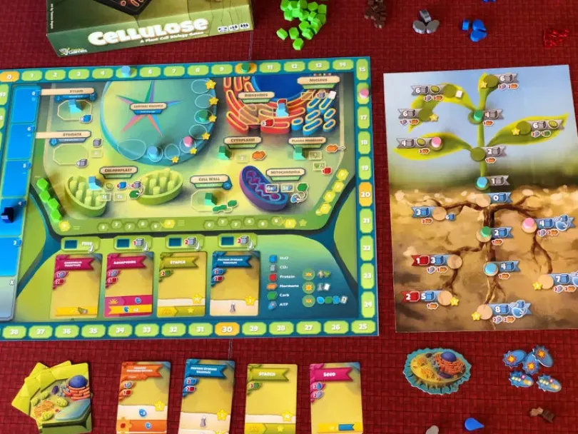 Cellulose: A Plant Cell Biology Game