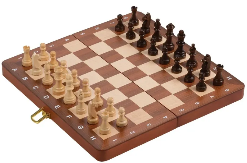 Chess cassette De Luxe, travel, field 30 mm, with numbers and letters (2711)