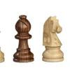 Chess cassette Excklusive, field 30 mm. magnetic (2725)