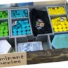 Folded Space: Dominant Species Insert