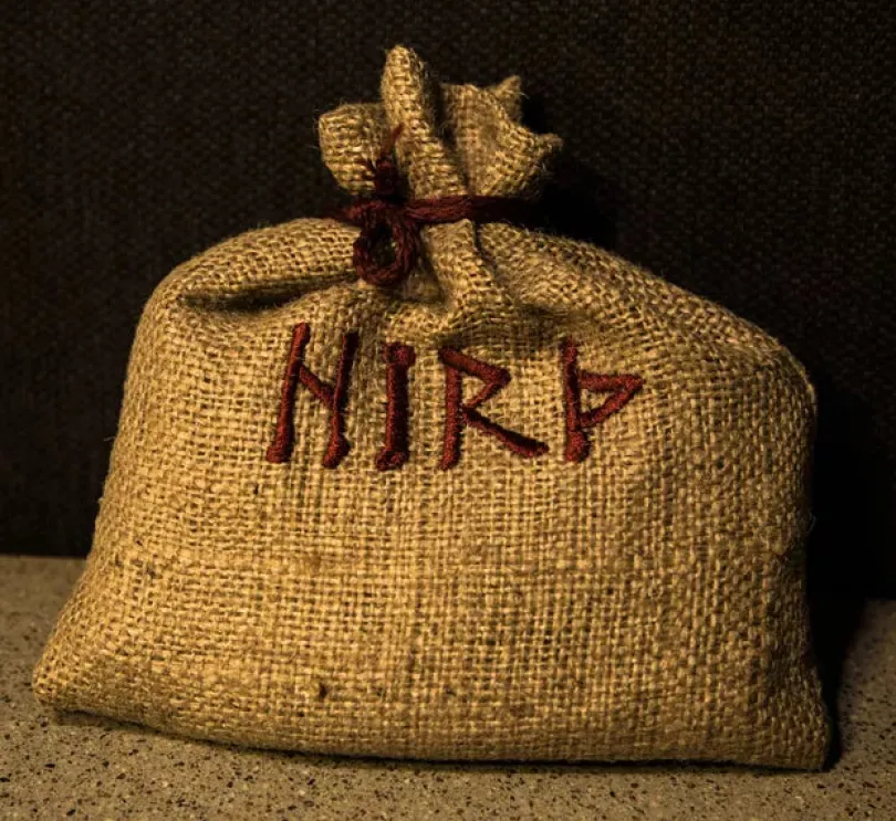 HIRÞ: The Viking Game of Royal Conflict (Hird)