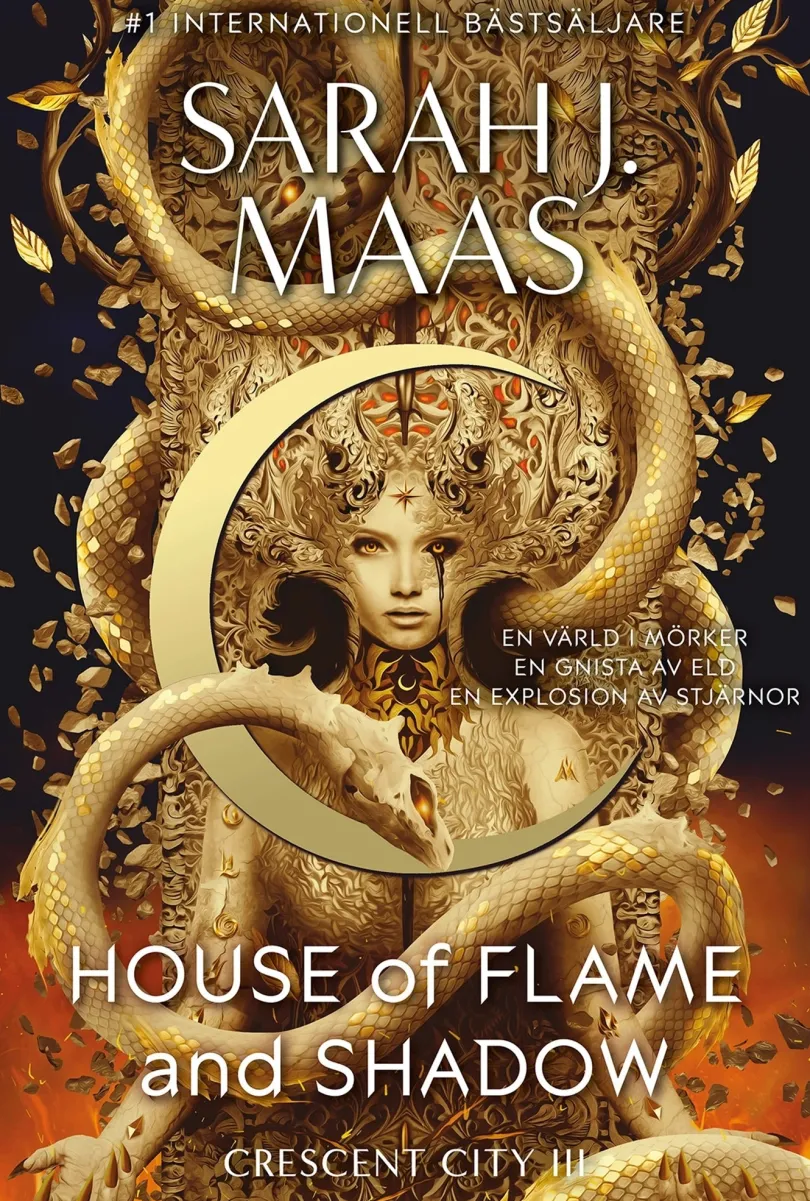 House of Flame and Shadow (Svensk utgåva) (Pocket)