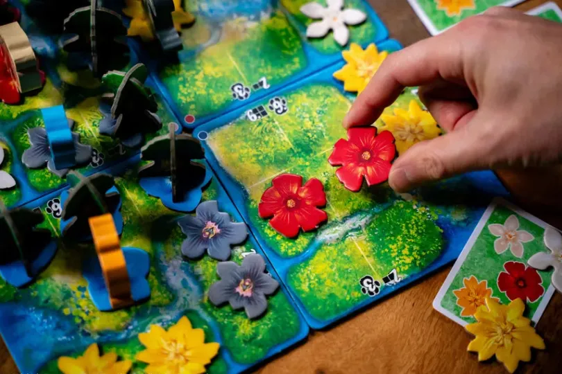 HUTAN: Life in the Rainforest (Engelsk Utgåva)