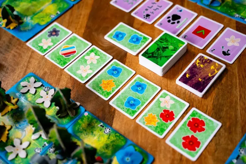 HUTAN: Life in the Rainforest (Engelsk Utgåva)