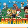 Labyrinth - Paw Patrol Junior