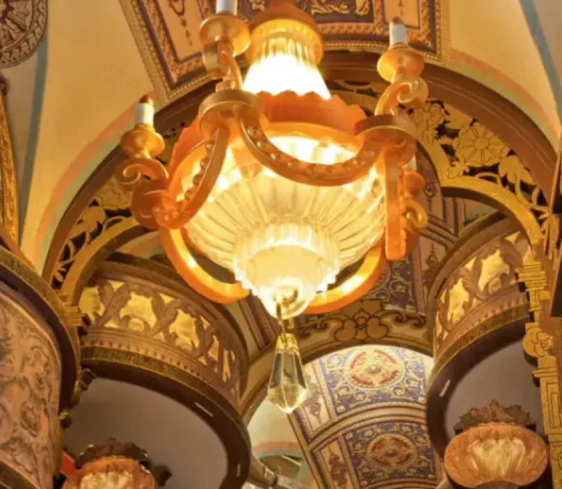 Library Of Wonders Rolife Rolife