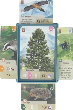 5 pcs set Feldherr card tray for Forest Shuffle - Tree Cards