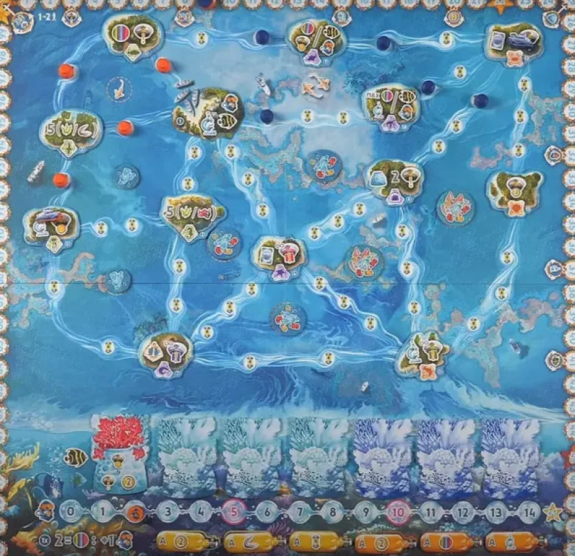 Reef Project