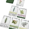 Reforest: Plants of the Pacific Northwest Coast