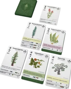 Reforest: Plants of the Pacific Northwest Coast