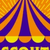Scout