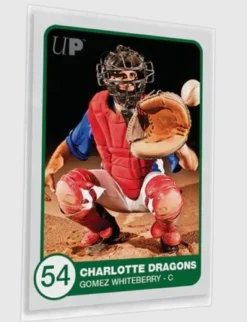 Standard Size Premium Card Sleeves (100ct)