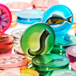 Token and Markers: Wingspan + expansions Token Set